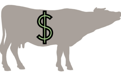 CMC Market Outlook Webinar (January 2023)