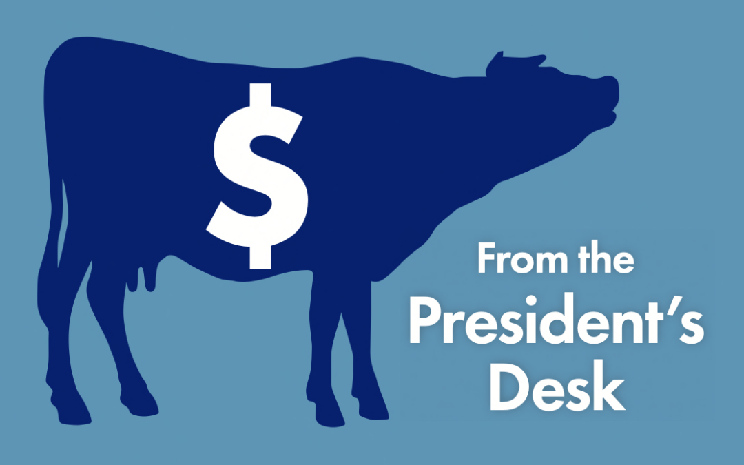 Cash Cow Election Winners